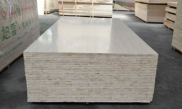 ��������̬�峧��